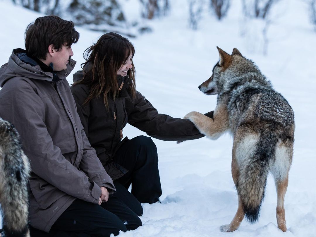 0802.jpg